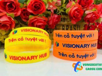 VÒNG TAY CAO SU VISONARY